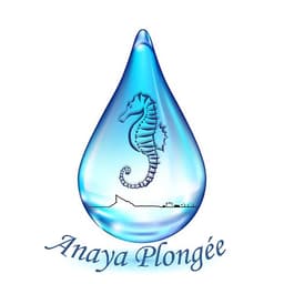 Anaya Plongée logo