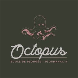Octopus logo