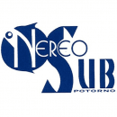 Diving Center Service Nereo Sub logo