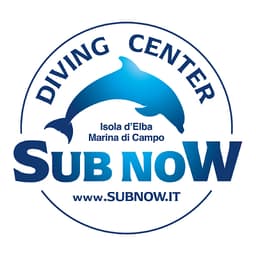 SUB NOW logo