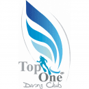 TOP ONE DIVING logo