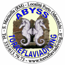 ABYSS DIVERS TORRE FLAVIA DIVING logo