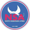 A.S.D. N.S.A. CHIERI logo