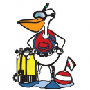 PELLICANO MARE logo