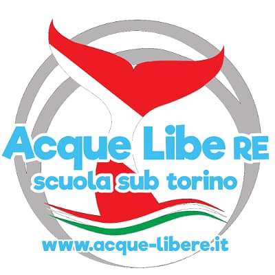 ACQUE LIBERE SUB TORINO ASD