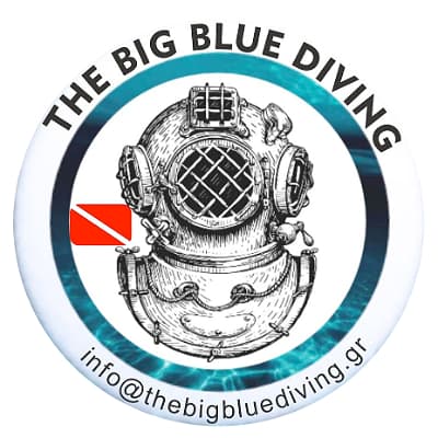 THE BIG BLUE DIVING