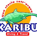 KARIBU DIVING & TRAVEL logo