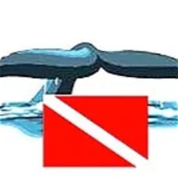 Diving 5Terre Riomaggiore logo
