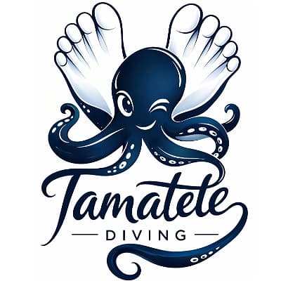 TAMATETE DIVING CENTER