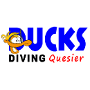 Ducks Diving Quesier