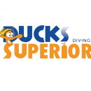 Ducks Diving Superior