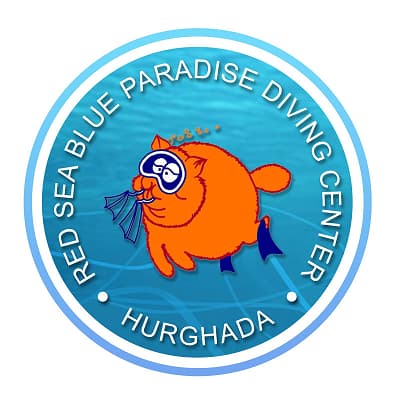 Red Sea Blue Paradise