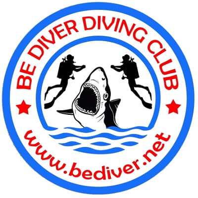 Be Diver