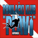 RONILAČKI KLUB PLAVI logo