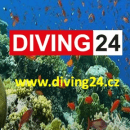 Diving24 logo