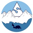 SILVER SKY DIVING logo
