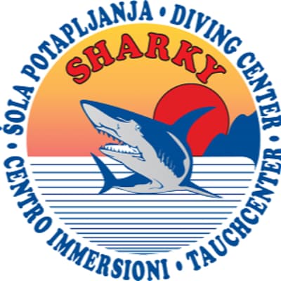 Sharky Diving