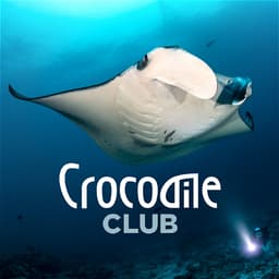 DIVING CLUB CROCODILE logo