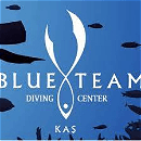 BLUE TEAM logo