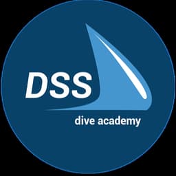 DSS DALIŞ MERKEZİ logo
