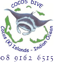 COCOS DIVE logo