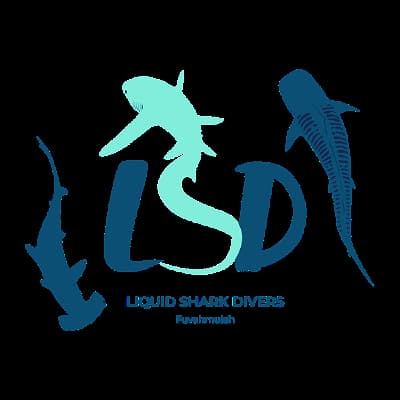Liquid Shark Divers FVM
