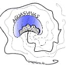 Águas Vivas - Freediving Center