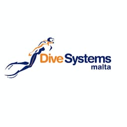 Dive Systems logo