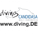 diving CANDIDASA logo