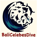 Bali Celebes Dive
