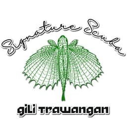 Signature Scuba logo