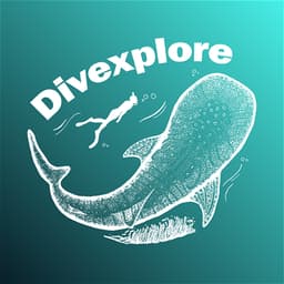 Divexplore logo
