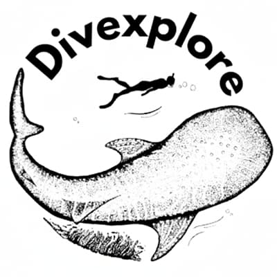 Divexplore