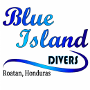 Blue Island Divers logo