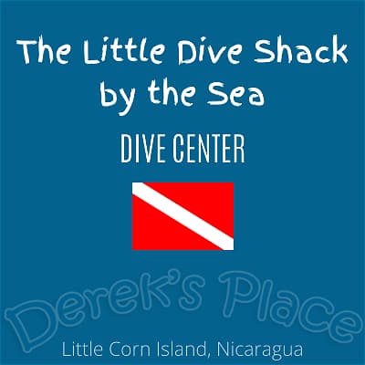 The Little Dive Shack by the Sea