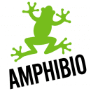 Amphibio Buceo Divertido