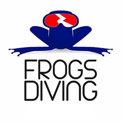 Frogs Diving