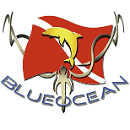 Blue Ocean