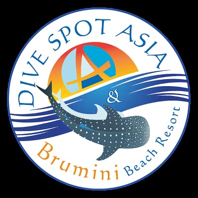 Dive Spot Asia