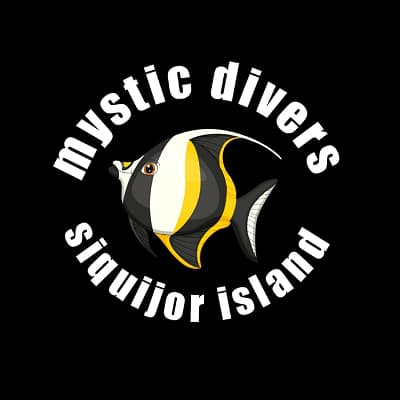 Mystic divers