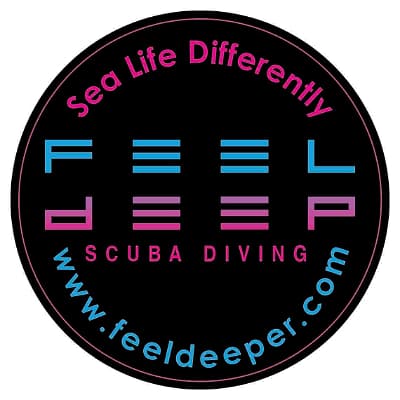 FEEL DEEP SCUBA DIVING HADSAN BRANCH