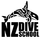 NZ DIVE SCHOOL logo