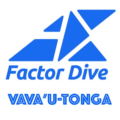 AX-Factor Dive