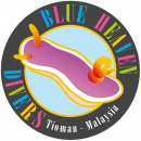BLUE HEAVEN DIVERS logo