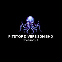 PITSTOP DIVERS logo