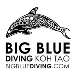 Big Blue Diving logo