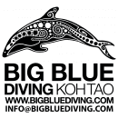 Big Blue Diving