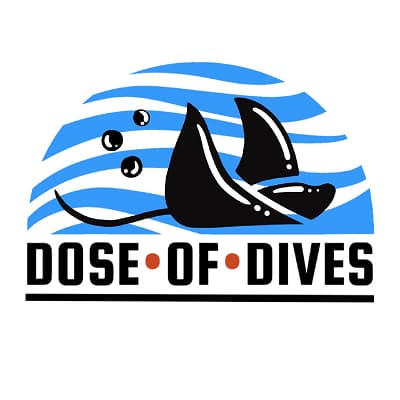Dose of Dives