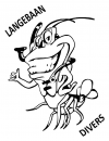 Langebaan Divers