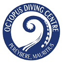 Octopus Diving pereybere logo